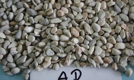Gravel Pebbles as a Landscaping Staple for Home Gardens
