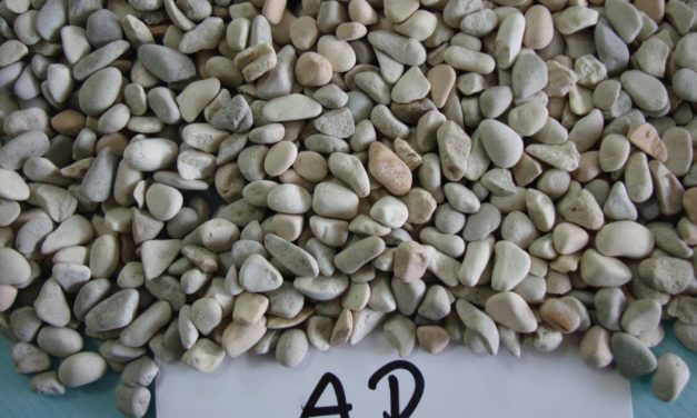 Gravel Pebbles as a Landscaping Staple for Home Gardens