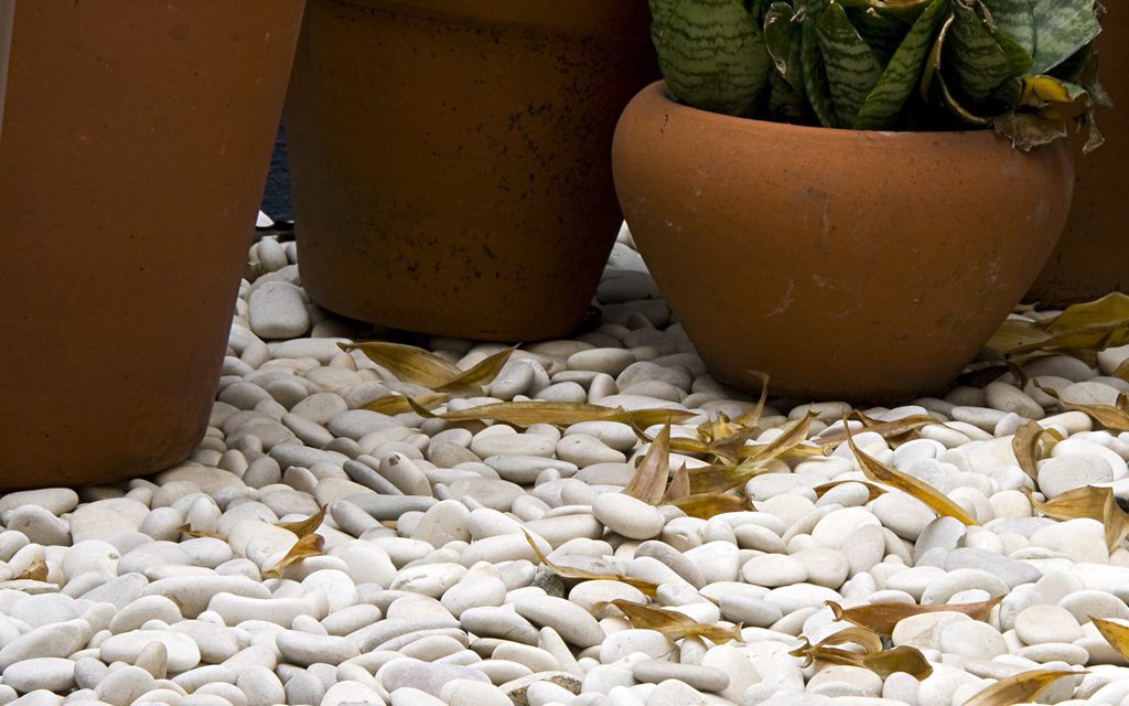 White Round Pebbles for Landscaping: Enhance Your Outdoor Space