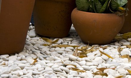 White Round Pebbles for Landscaping: Enhance Your Outdoor Space