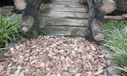 Bali Red Gravel Pebbles: A Vibrant Touch for Your Garden