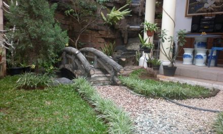 Outdoor Gravel Solutions to Enhance Your Garden