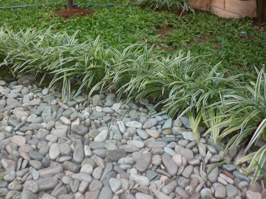 Outdoor Gravel Stone