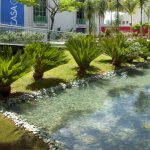 Green Pond Stones to Create a Tranquil Garden Retreat