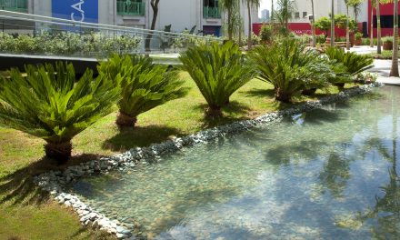 Green Pond Stones to Create a Tranquil Garden Retreat