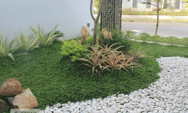 Bali Round Pebbles for Simple Home Garden Inspiration